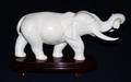 81 WELL CARVED IVORY STUDY OF AN ELEPHANT