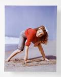 MARILYN MONROE LIMITED EDITION ANDRE DE DIENES PRI