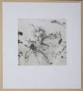 MARILYN MONROE ORIGINAL CECIL BEATON PHOTOGRAPH
