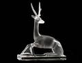 155 LALIQUE MOLDED AND FROSTED CRYSTAL STAG