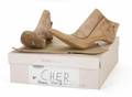 CHER WOMANS WORLD SHOE MOLDS