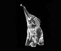 81 DAUM CLEAR CRYSTAL FIGURE OF AN ELEPHANT