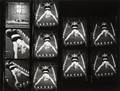 MADONNA SEX CONTACT SHEET
