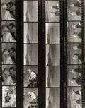 THE MISFITS STILL PHOTOGRAPHY CONTACT SHEET