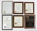 PHYLLIS DILLER HUMANITARIAN RECOGNITION PLAQUES