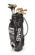 SAMMY DAVIS JR CUSTOM GOLF CLUBS