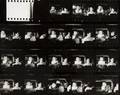 THE MISFITS STILL PHOTOGRAPHY CONTACT SHEET
