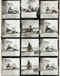 THE MISFITS STILL PHOTOGRAPHY CONTACT SHEET