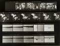 THE MISFITS STILL PHOTOGRAPHY CONTACT SHEET
