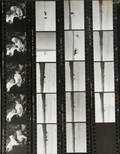 THE MISFITS STILL PHOTOGRAPHY CONTACT SHEET