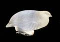 381 LALIQUE MOLDED AND FROSTED CRYSTAL PARTRIDGE