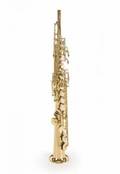 ANN WILSON SOPRANO SAXOPHONE