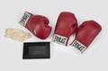 EVANDER HOLYFIELD VS BERT COOPER FIGHT WORN GLOVES