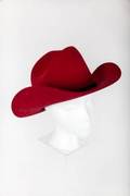 BURT REYNOLDS RED STETSON