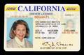 CYD CHARISSE 2007 DRIVER LICENSE