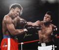 MUHAMMAD ALI VS GEORGE FOREMAN SIGNED COLOR IMAGE