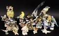 13 Bird Figurines Meissen Rosenthal  Others