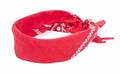 BRUCE SPRINGSTEEN RED BANDANA