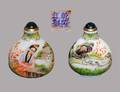 497 ENAMELED GLASS SNUFF BOTTLE