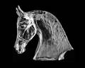 297 BACCARAT MOLDED  FROSTED CRYSTAL TETE DE CHEVAL