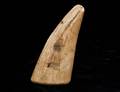 9 ANTIQUE SCRIMSHAW WHALE TOOTH