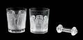 Two Lalique Molded and Frosted Tumblers