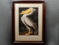 158 AFTER JOHN J AUDUBON FrenchAmerican 17851851