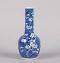 A Chinese Blue and White Porcelain Hawthorne Pattern Bottle Vase