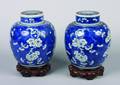 A Pair of Chinese Blue and White Hawthorne Pattern Porcelain Ginger Jars