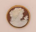 A Ladys 14 Karat Yellow Gold and Shell Cameo Brooch