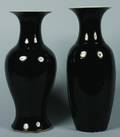 A Group of Two Chinese Vases