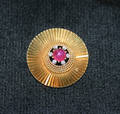 A Ladys 18 Karat Yellow Gold Ruby and Diamond Circular Brooch