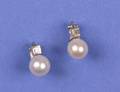 A Pair of White Gold Platinum Pearl and Diamond Earrings Trabert  Hoeffer Mauboussin