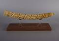 A Loango Carved Ivory Tusk