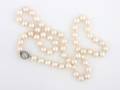 A Single Strand Cultured Pearl Necklace