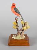 A Dorothy Doughty Vermilion Flycatcher Cock Bisque Porcelain Bird Figure