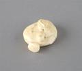 An Ivory Chestnut Netsuke