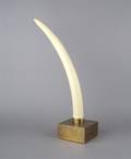 A Tusk on Brass Stand