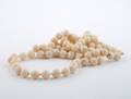 A Single Strand AngelSkin Coral Bead Necklace