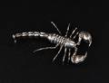 2 STERLING SILVER SCULPTURE OF A SCORPION