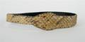 A Snakeskin Belt