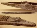 Large and Impressive Papua New Guinea Dugout Canoe