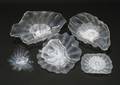 A Glass Seaform Set Dale Chihuly