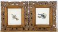 A Group of Two Framed Watercolors of Birds