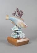 A Royal Worcester Rainbow Parrot Fish