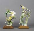 A Pair of Royal Worcester Dorothy Doughty Birds Hooded Warbler