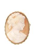 An 18 Karat Yellow Gold and Shell Cameo Brooch