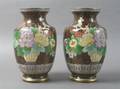 A Pair of Asian Cloisonne Vases