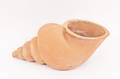 Italian Shell Form Terra Cotta Planter