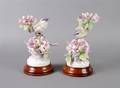 A Pair of Royal Worcester Dorothy Doughty Birds Redeyed Vireos